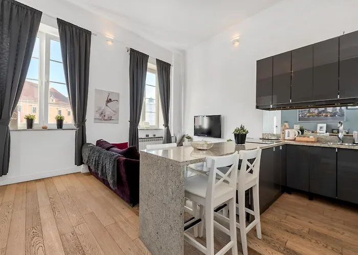 Amazing Apartment On Plac Zamkowy