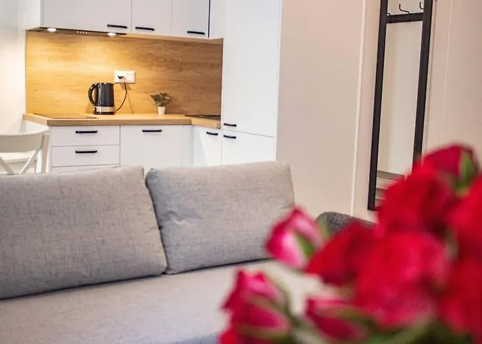 Nowoczesne Studio W Сentrum