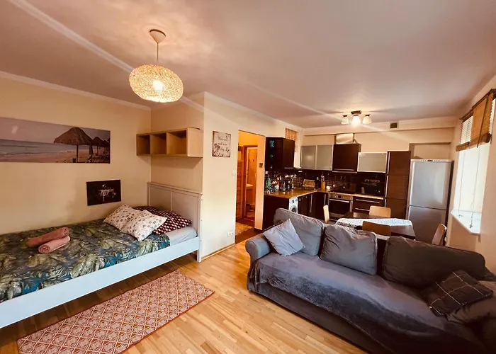 Entire Studio Flat