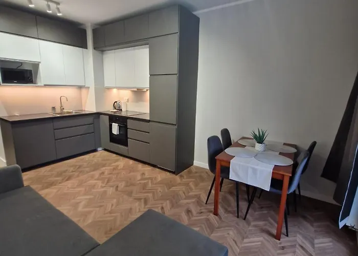 Szarych Szeregow Elegant Apartment