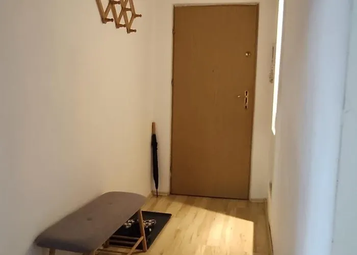 Elektoralna 26