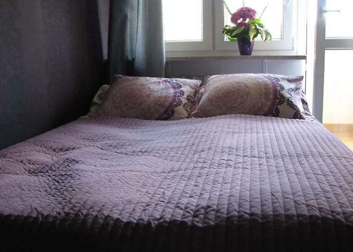 Apartament Orchidea