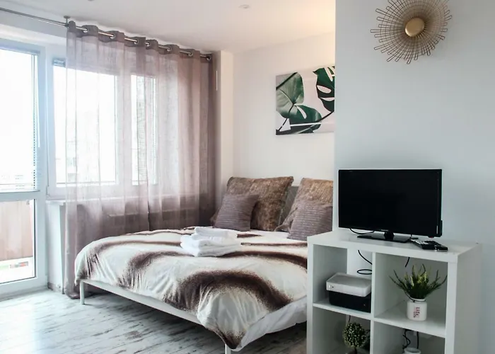 Sunny City Center Apartment