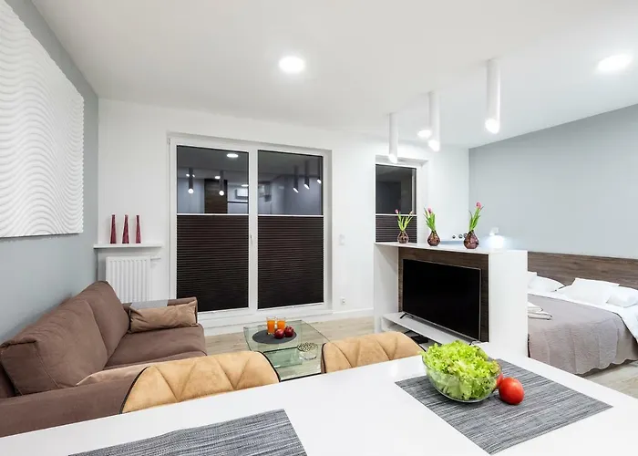 Apartament Luxury Miedzyborska 8B