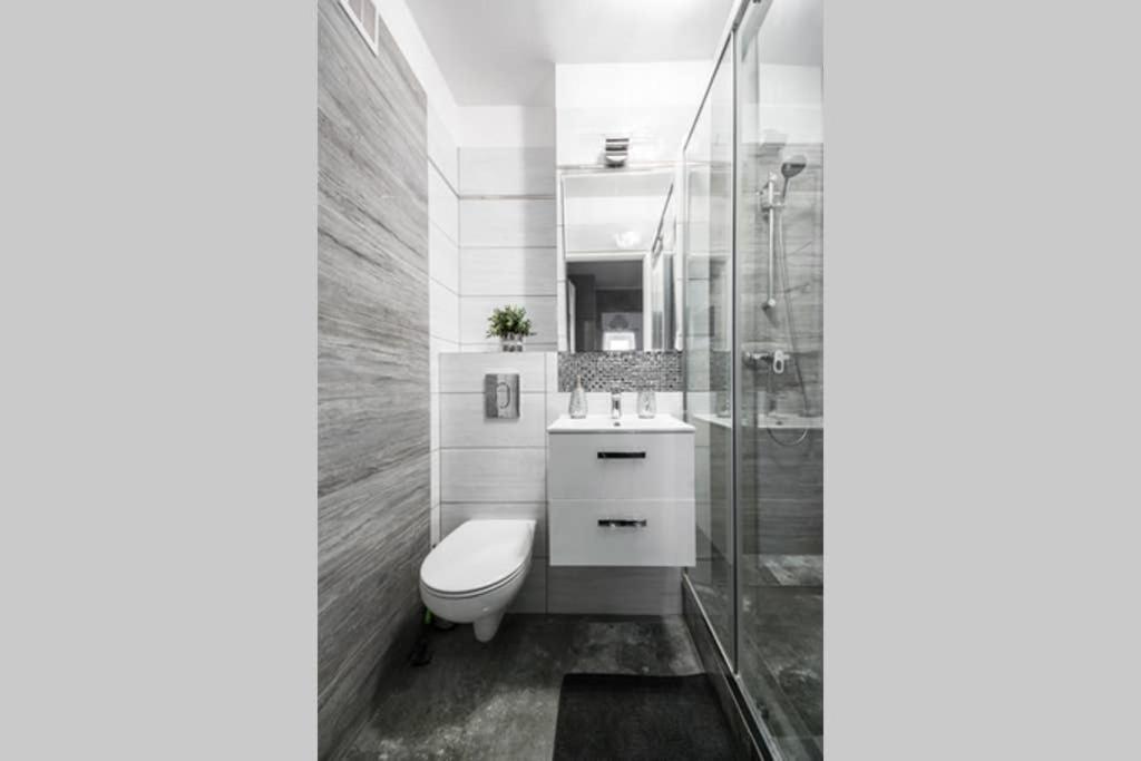 Silver Panska 61
