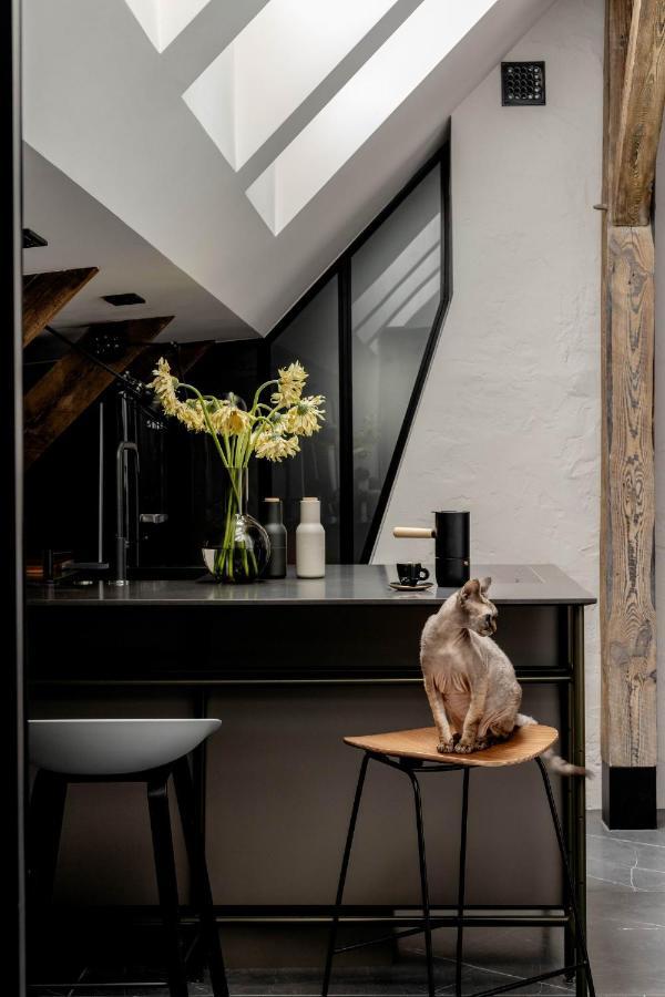 Apartment Mystictone - Loft In The Heart Of - Nowy Swiat Roomtones