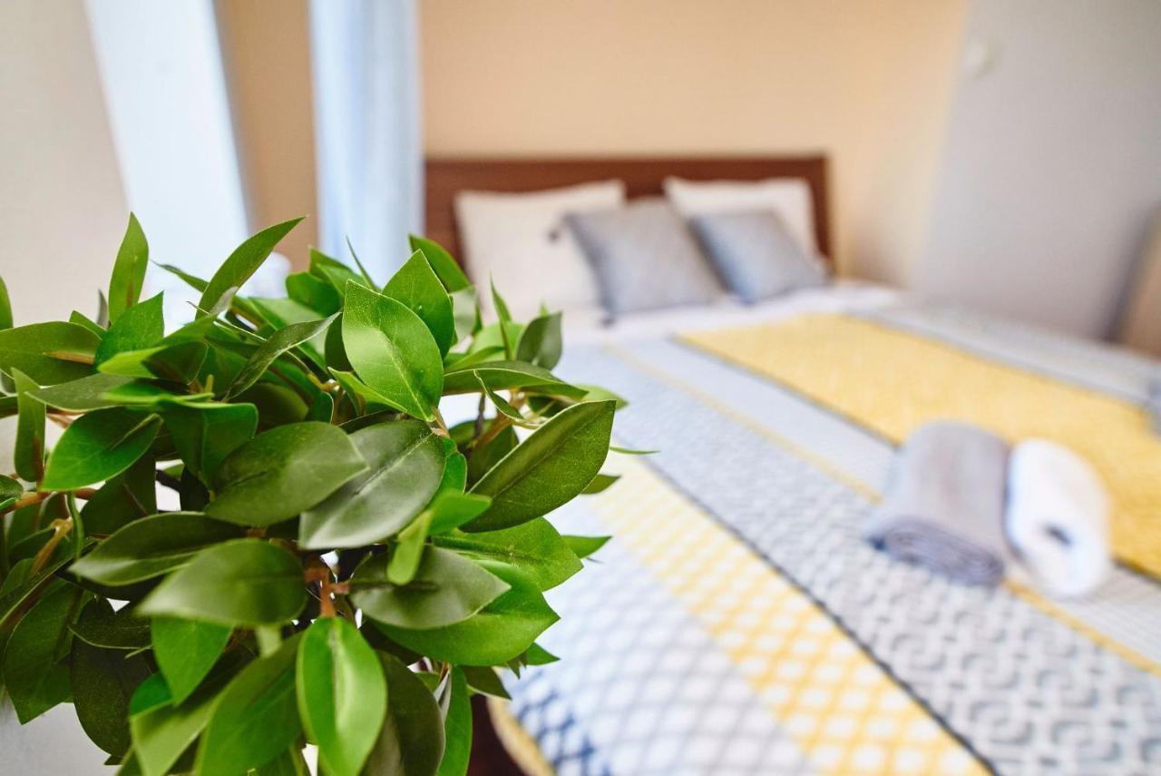 Regem Warynskiego Apartamento