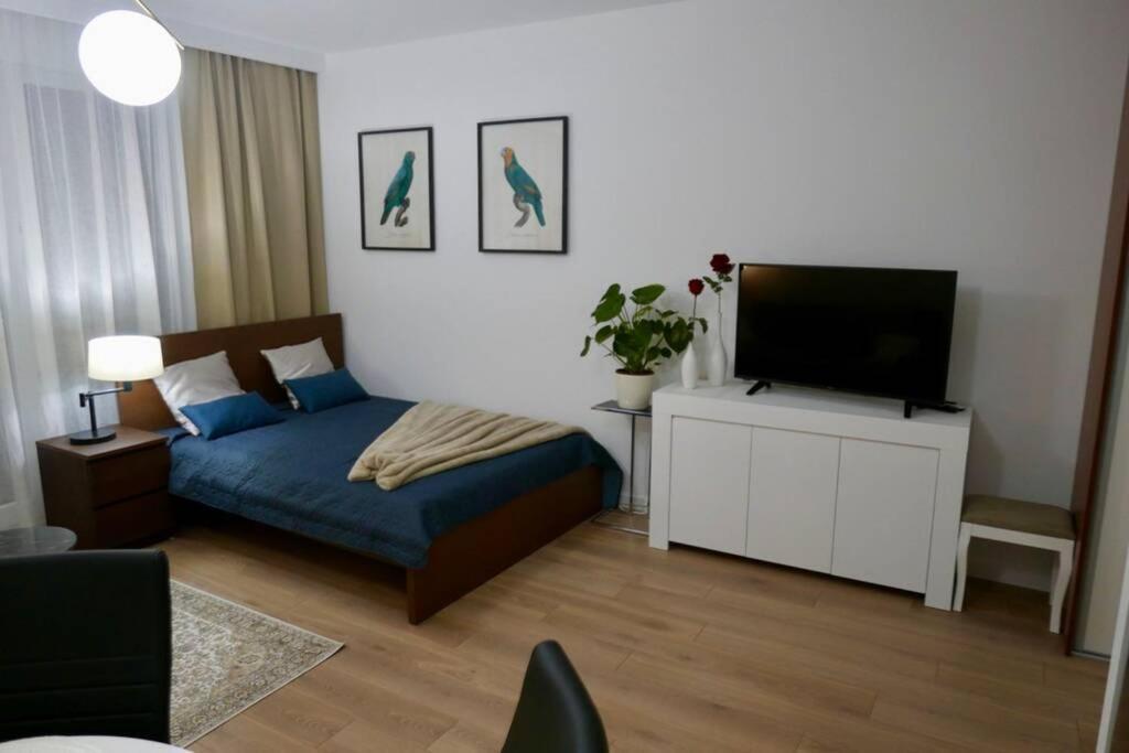 Nr 1 Close To Medicover And Paley Institute *