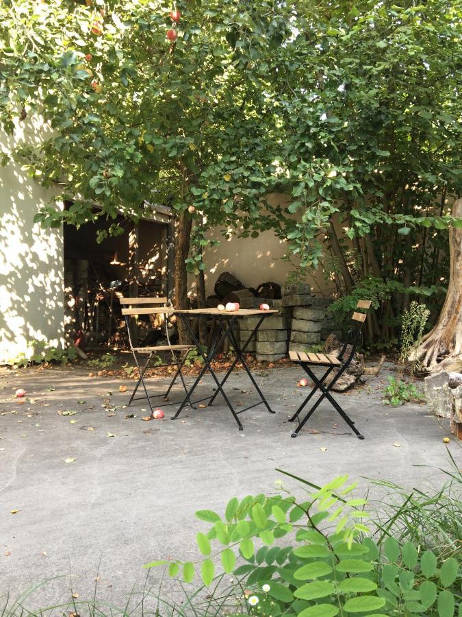 Ciche Pokoje W Domu Przy Parku Krajobrazowym Warsaw