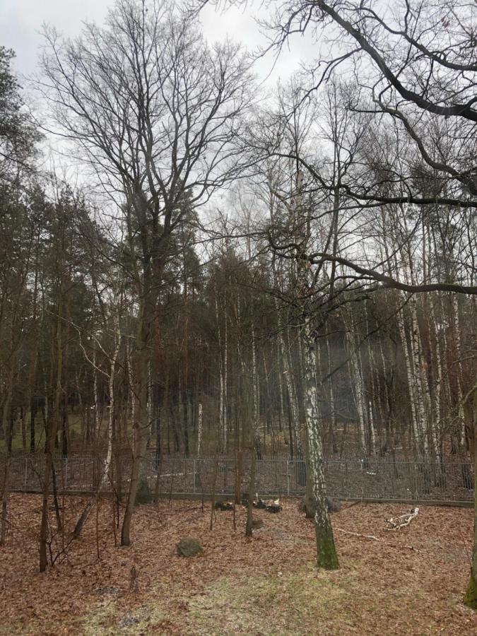Ciche Pokoje W Domu Przy Parku Krajobrazowym