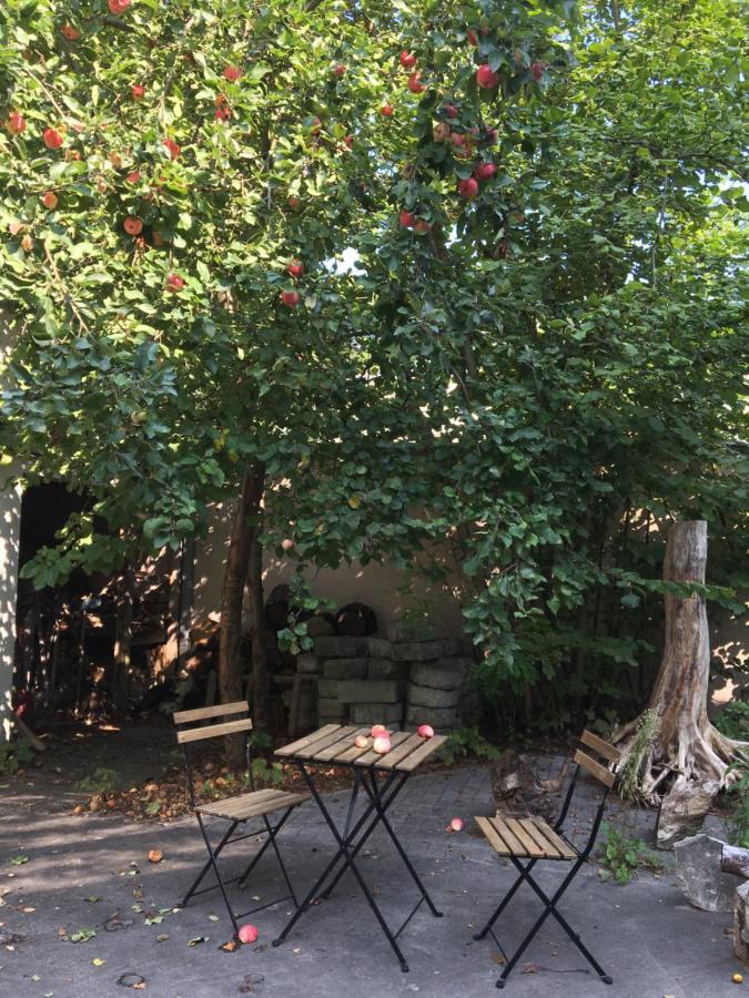 Ciche Pokoje W Domu Przy Parku Krajobrazowym Homestay *