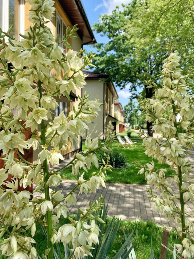 L26 Lopuszanska Holiday park