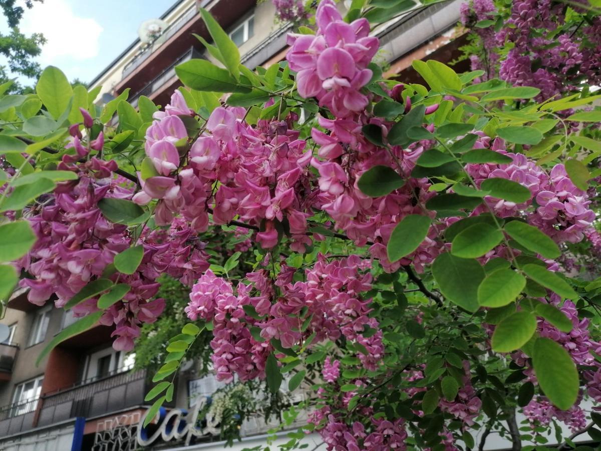 Căn hộ Pulawska 53