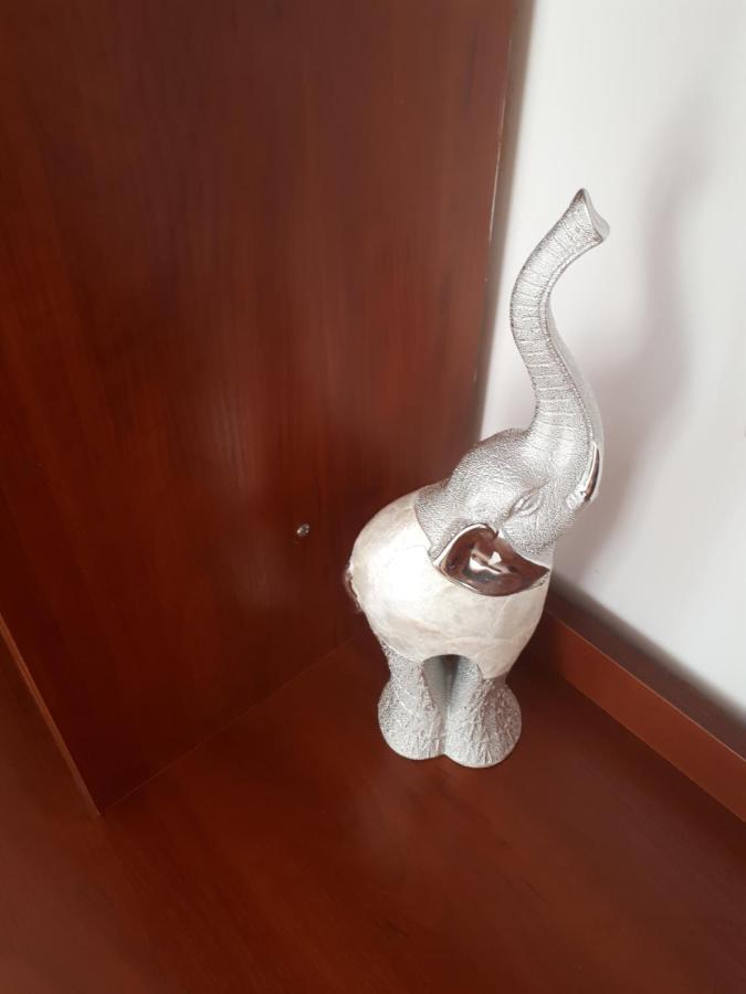 White Elephant Apartment *