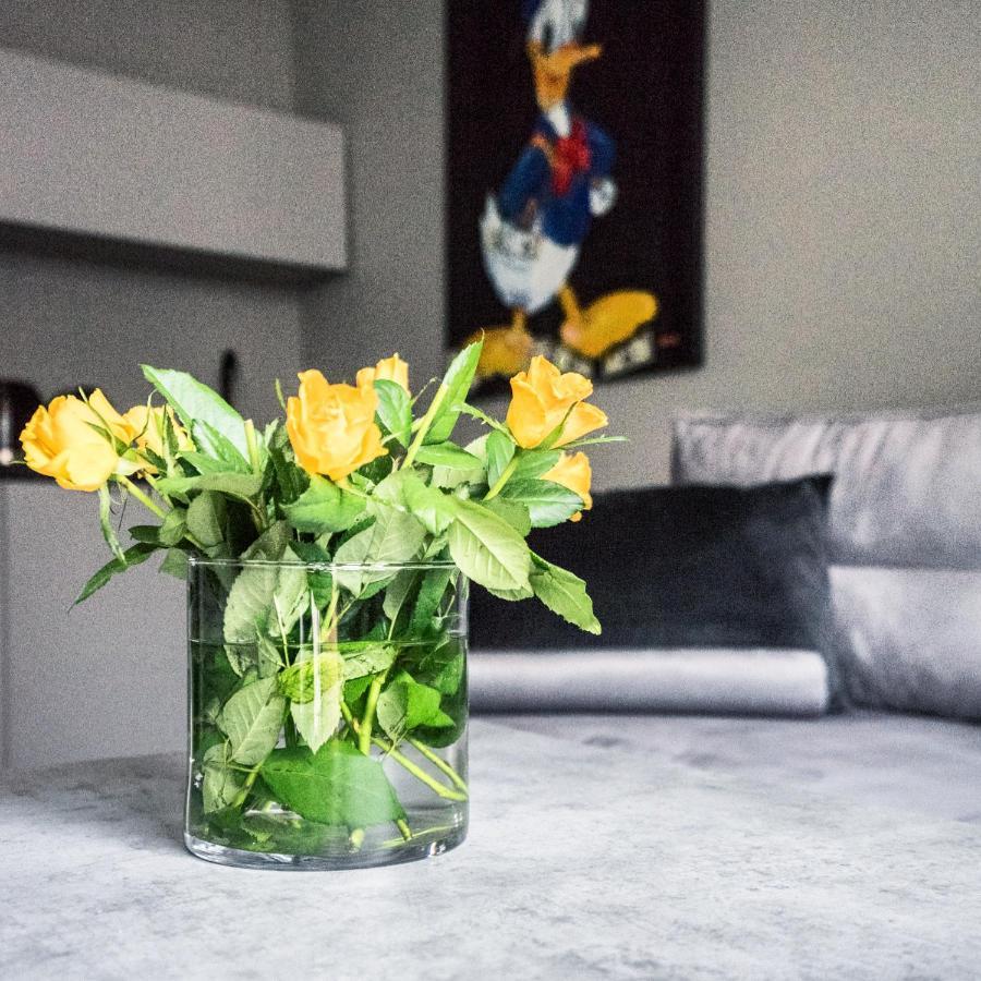 Apartment Grey House Warsaw