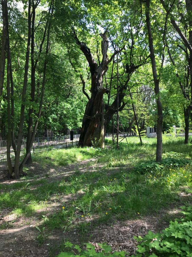 Warsaw-aparts Ursynow Natolin Warsaw