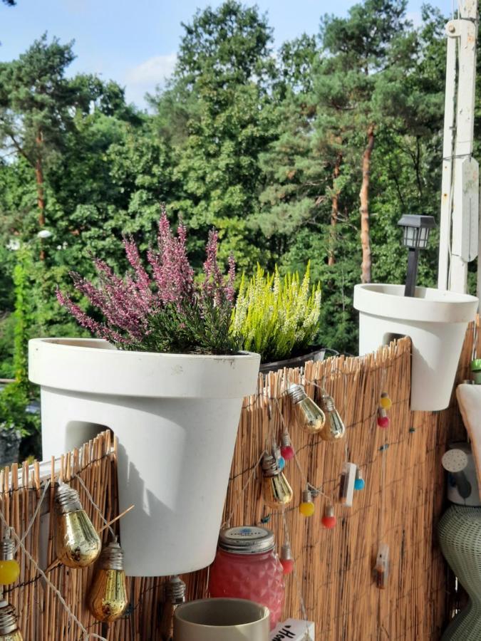 Apartament Zorzy Przy Instytucie Kardiologii Anin * Warszawa