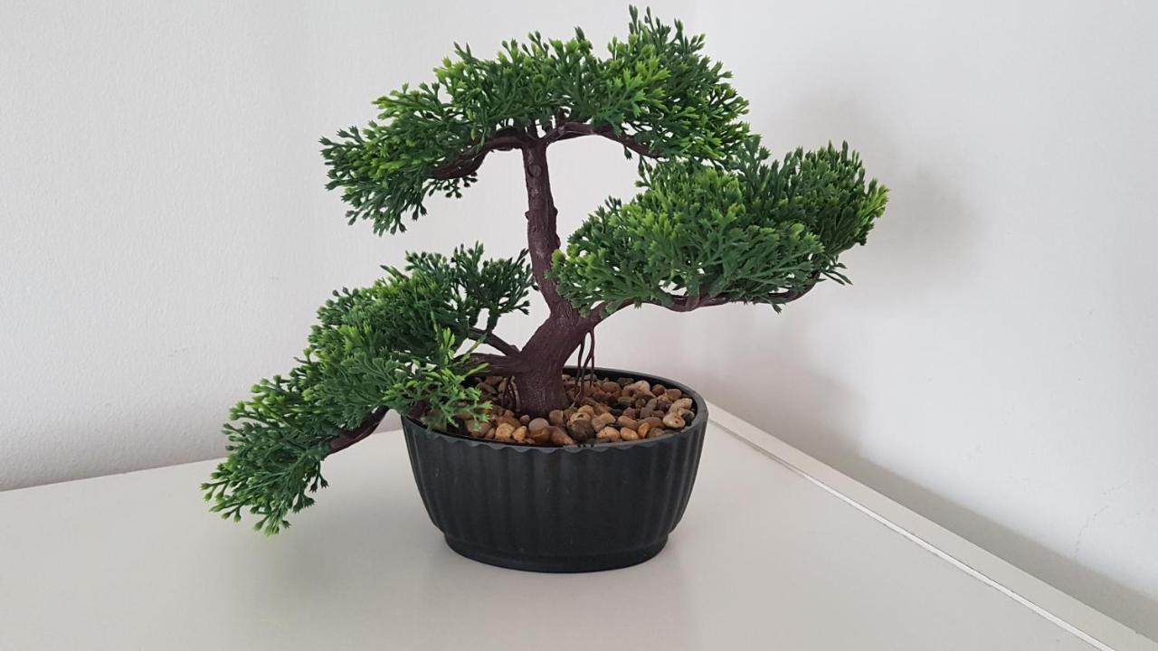 Kwatera prywatna Wood Stara Ochota