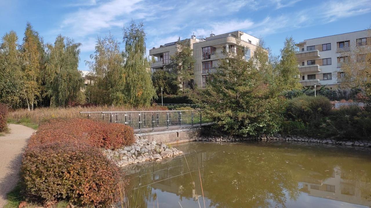 Apartamento M&r Apartament: Airport-adjacent Business With Terrace