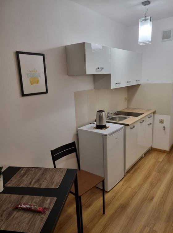 Strict Center, Wifi, Next To Railway Station, Zlote Tarasy, Pkin, Scisle Centrum Warschau