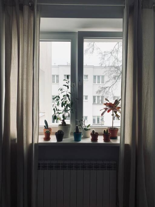 Artystyczny Na żoliborzu * Warszawa