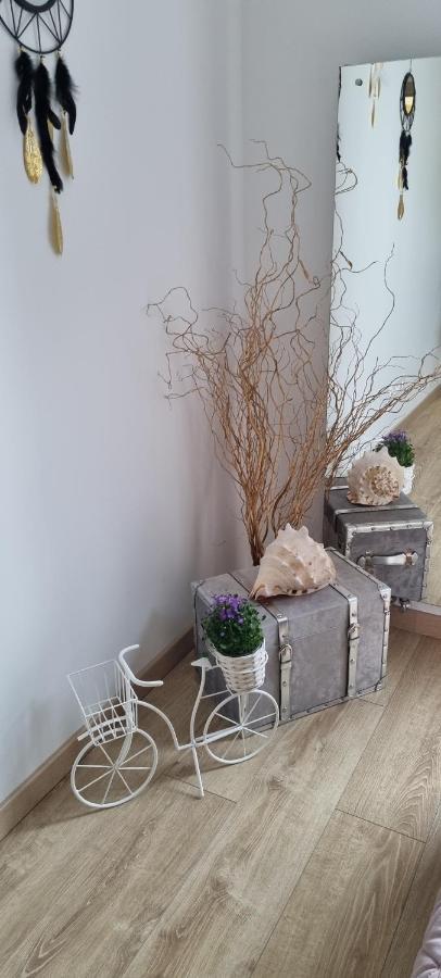 Seashell House Apartament *