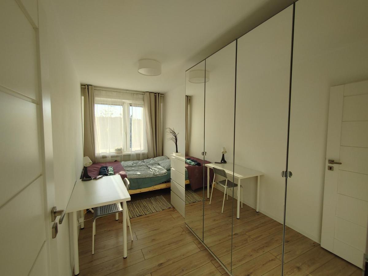- Niedzwiadek Apartment *