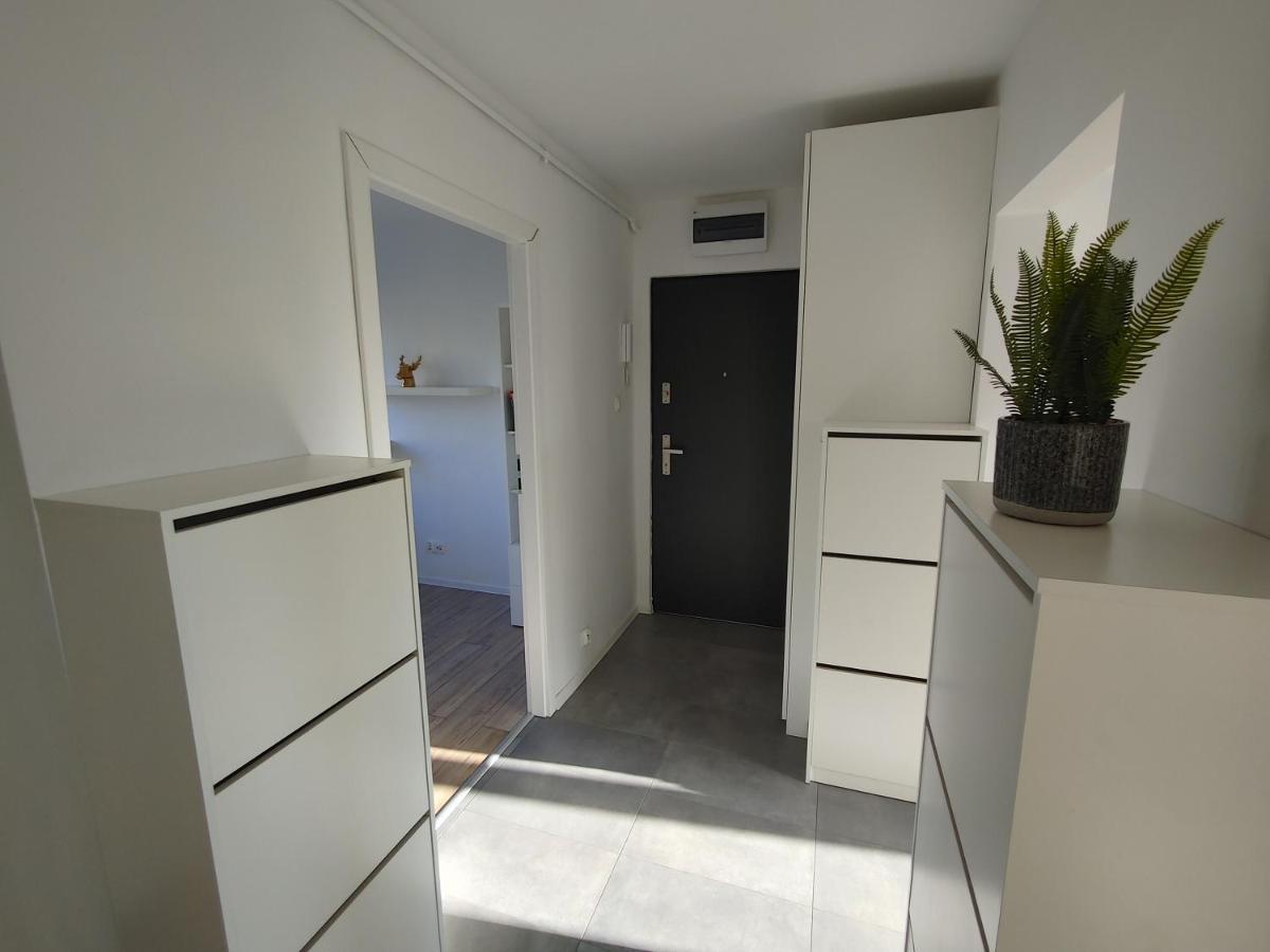 - Niedzwiadek Warsaw