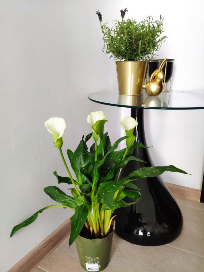 Aleje Jerozolimskie Apartament Warszawa