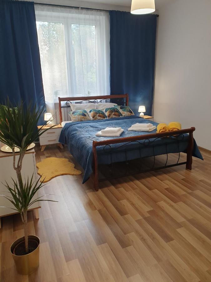 Apartment Comfy & Cozy Slodowiec *
