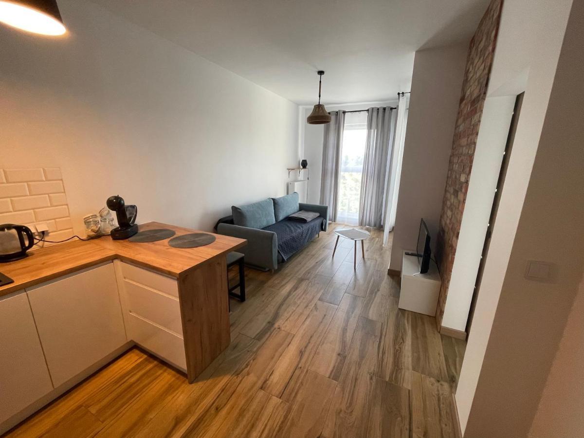Apartment Siedmiogrodzka 106