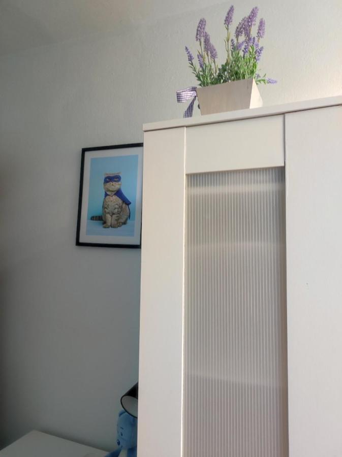 Single No.4 In The Very Center Of Guest house