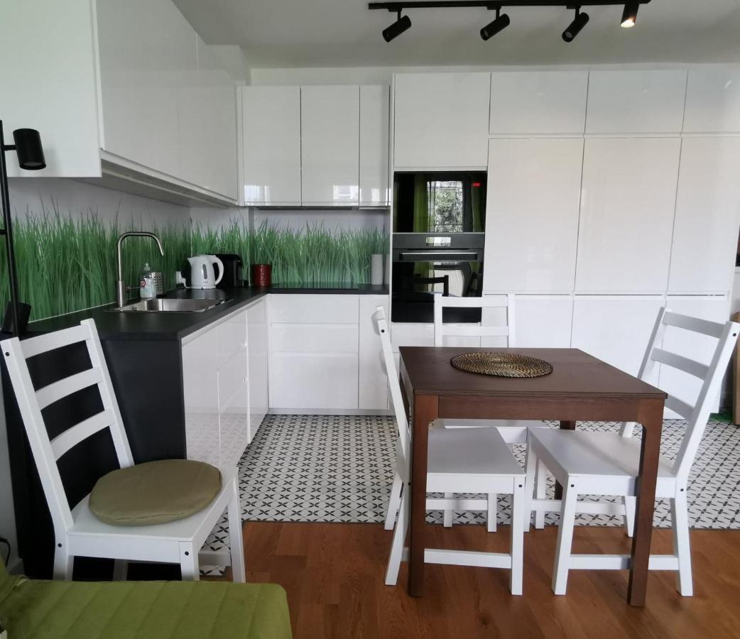 Apartament Anielewicza *