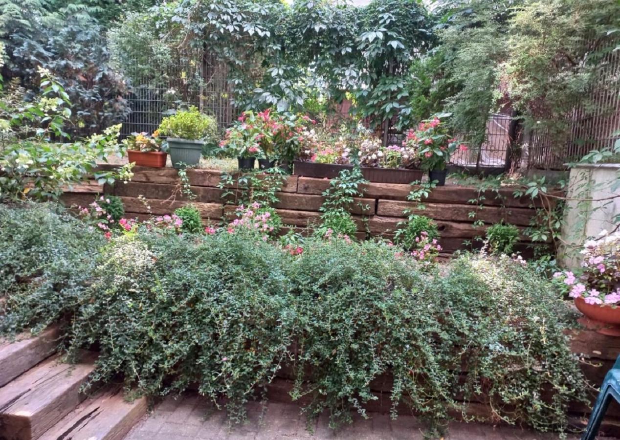 Sadul Apartment