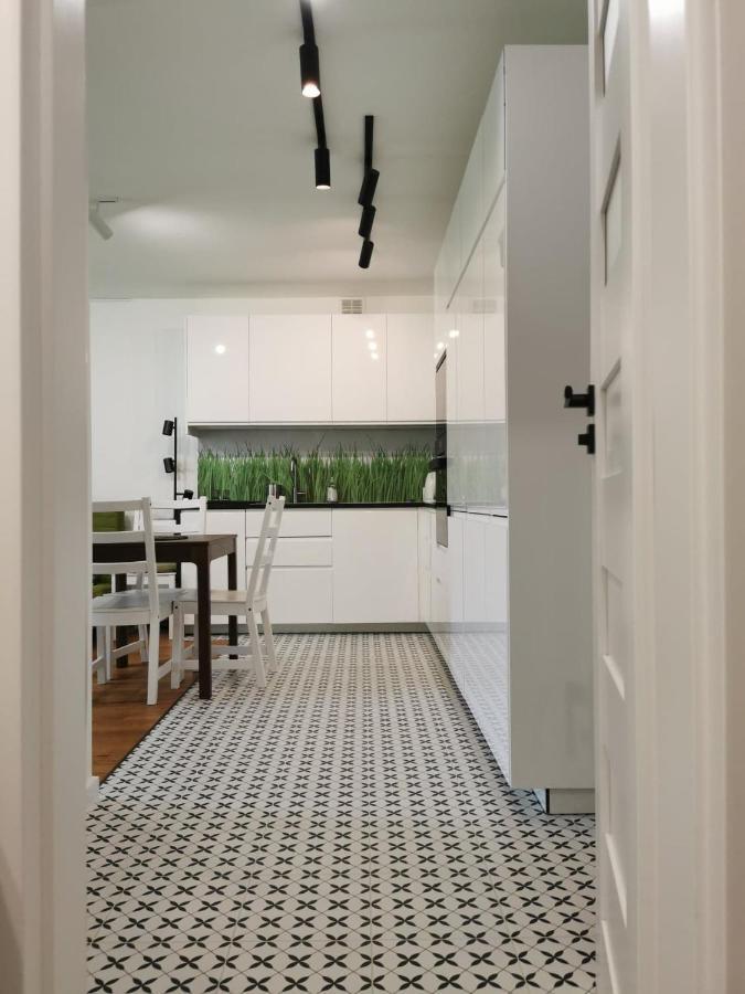 Apartament Anielewicza *