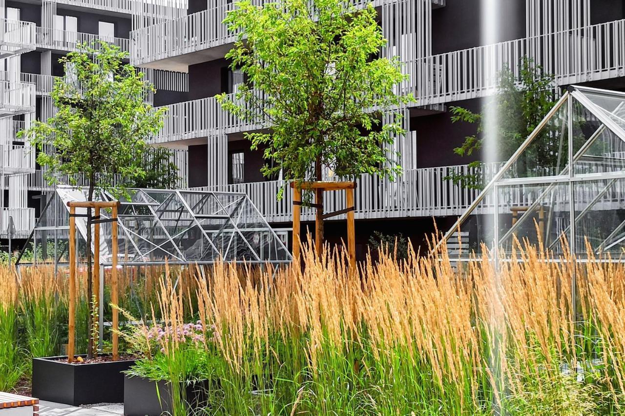 Mieszkanie Z Mini Ogrodkiem Hamak Brazylijski Apartment *