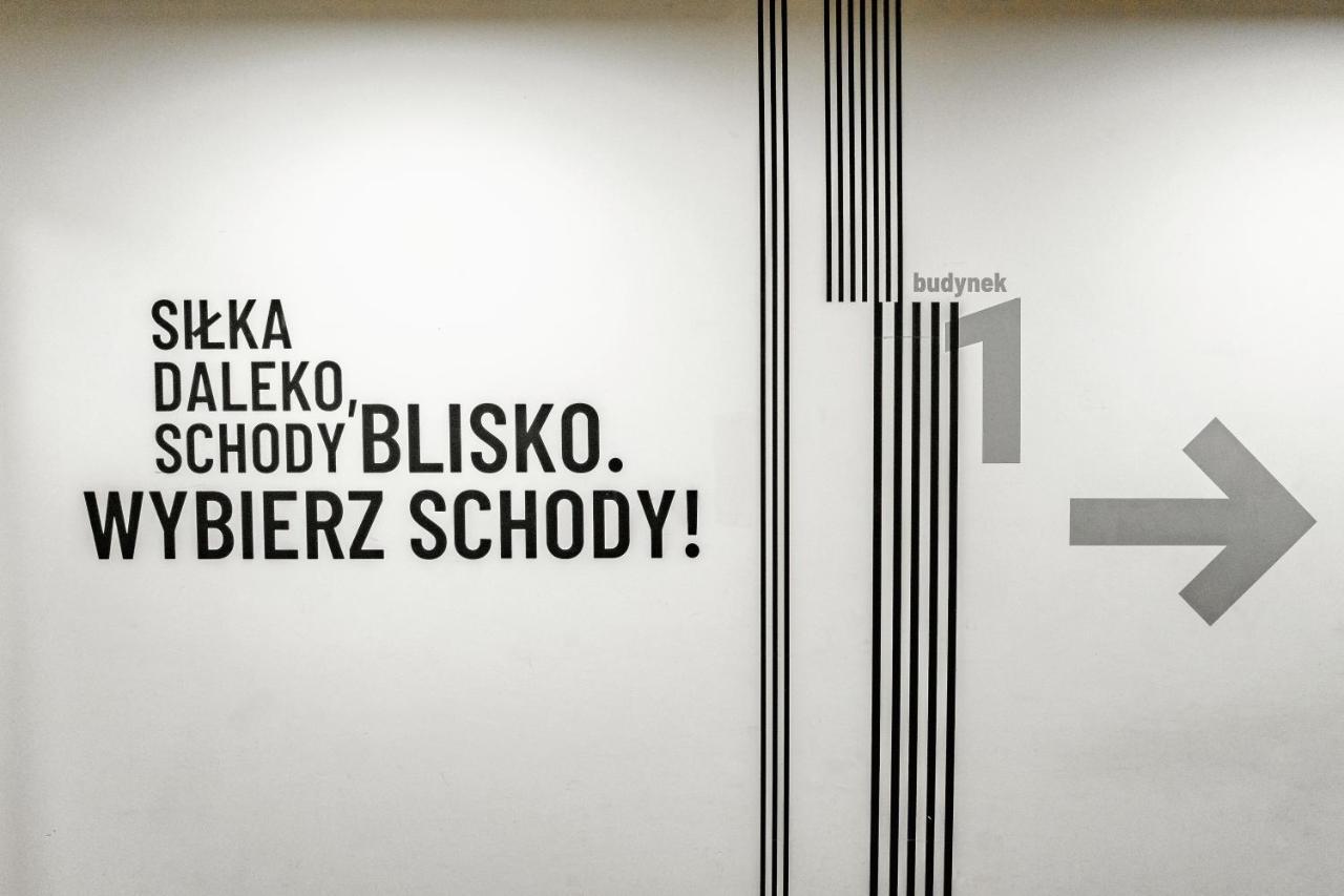 Mieszkanie Z Mini Ogrodkiem Hamak Brazylijski