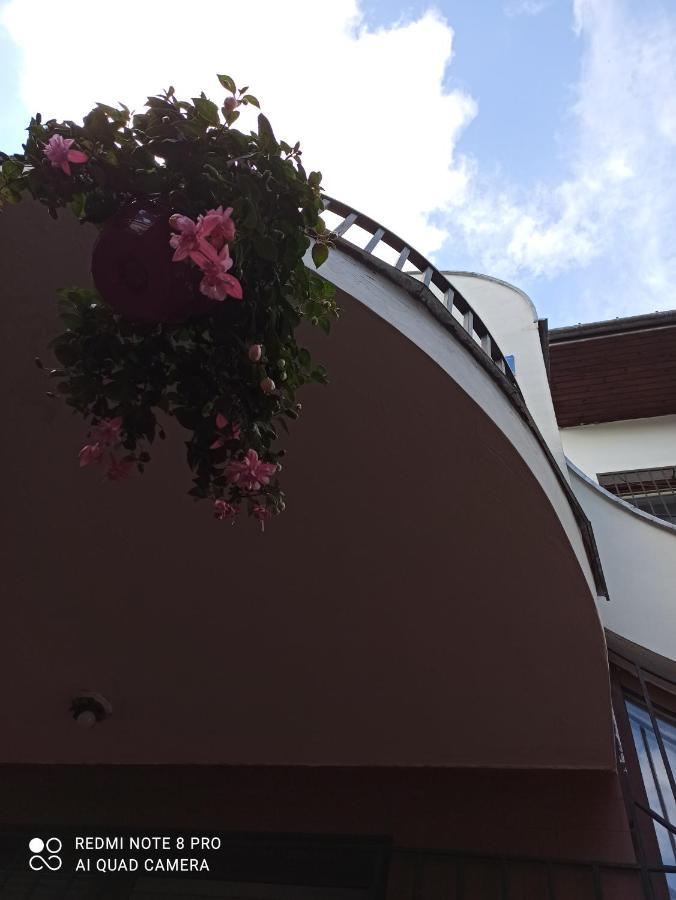 Hostel Hotel-hostel Saska *