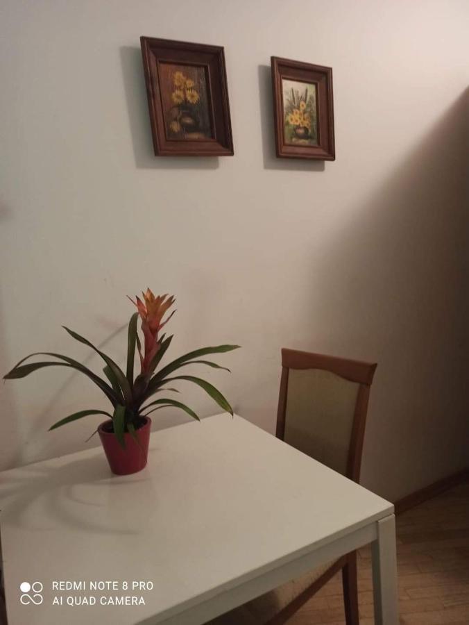 Hotel-hostel Saska