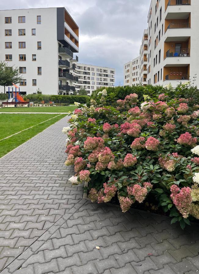Căn hộ Elegant And Comfortable Warsaw