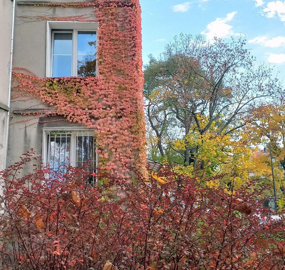 Apartament Kawalerka Na Starym żoliborzu *