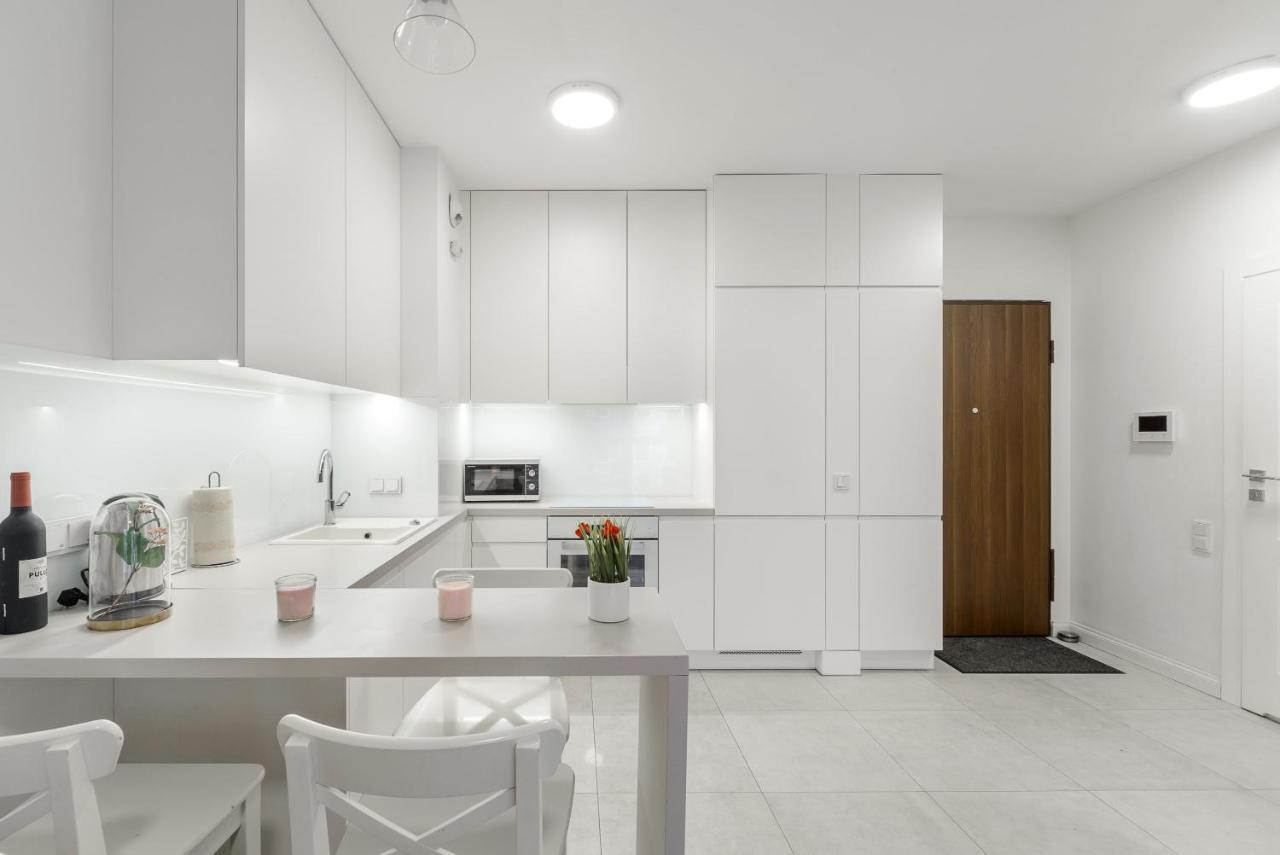 Apartment Luxury On Grzybowska Street In Warsaw