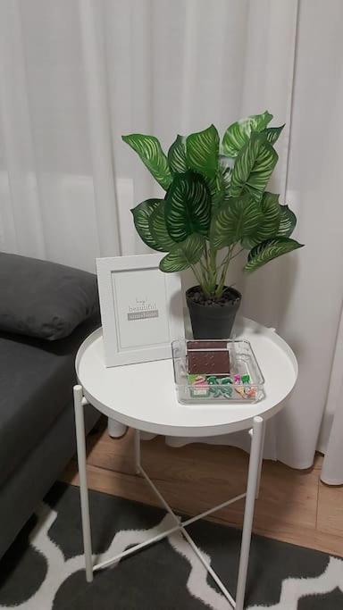 Bezagenta Mozart1 Quiet Easy Access To * Warschau