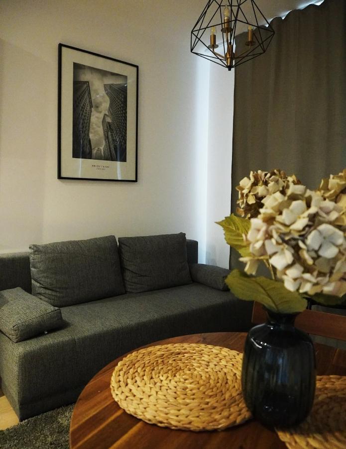 Cozy Downtown Srodmiescie Apartment: Entertainment Hub With Wi-fi * Warsaw