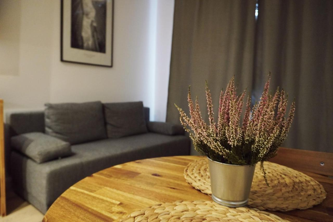 Apartment Cozy Downtown Srodmiescie Apartment: Entertainment Hub With Wi-fi