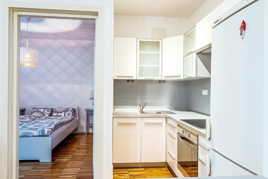 Apartment Powisle With Garage Warsaw