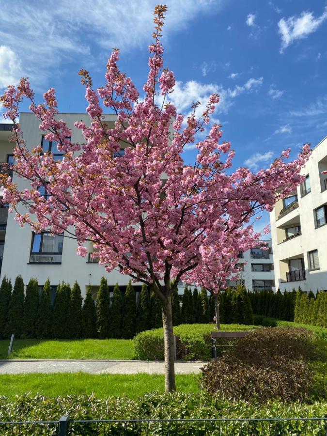 Apartment W24 *