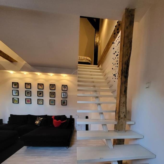 Apartment - Mi Premium