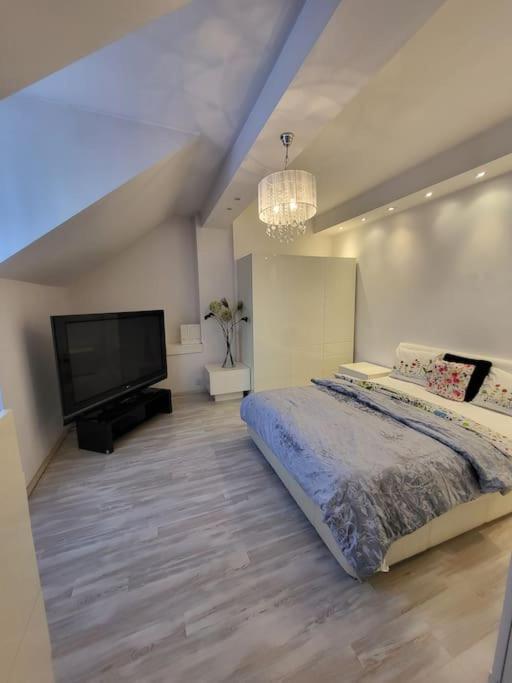 - Mi Premium Apartment