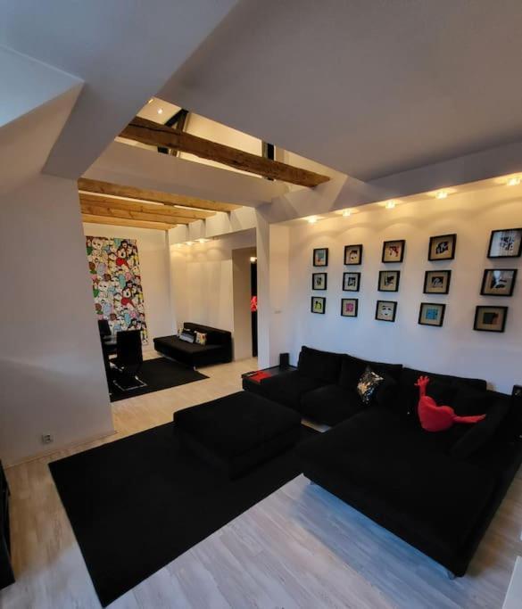 - Mi Premium Apartment